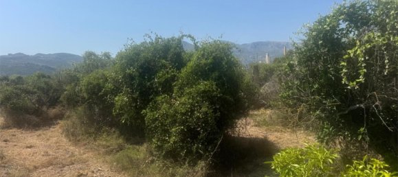 2 bedrooms Apartment in Pego, Spain No. 140744 29