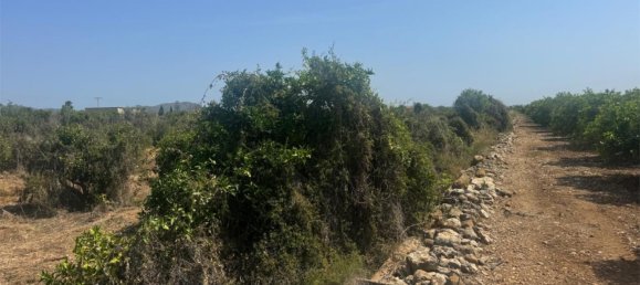 2 bedrooms Apartment in Pego, Spain No. 140744 15