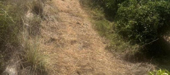 2 bedrooms Apartment in Pego, Spain No. 140744 30