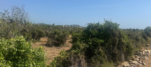 2 bedrooms Apartment in Pego, Spain No. 140744 16