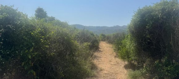 2 bedrooms Apartment in Pego, Spain No. 140744 26