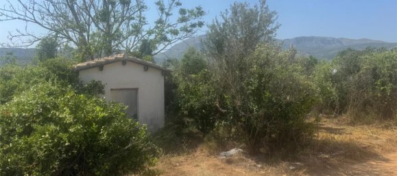 2 bedrooms Apartment in Pego, Spain No. 140744 12