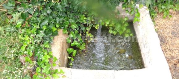 5 chambres Maison à Lucar, Spain No. 7332 15