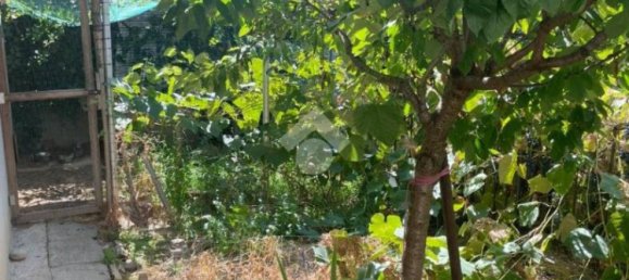 1 bedroom Apartment in Cardano al Campo, Italy No. 295264 13