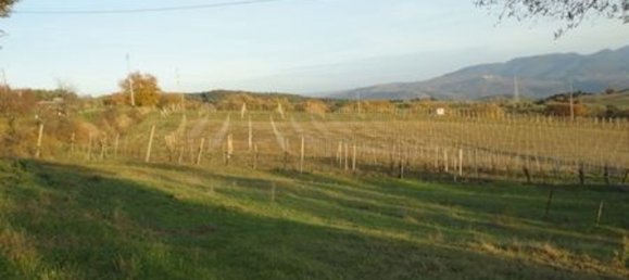 4غرفة منزل في Orvieto, Italy رقم 47384 16