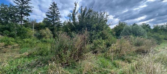 Terreno em Niederleis, Austria N.º 229520 5