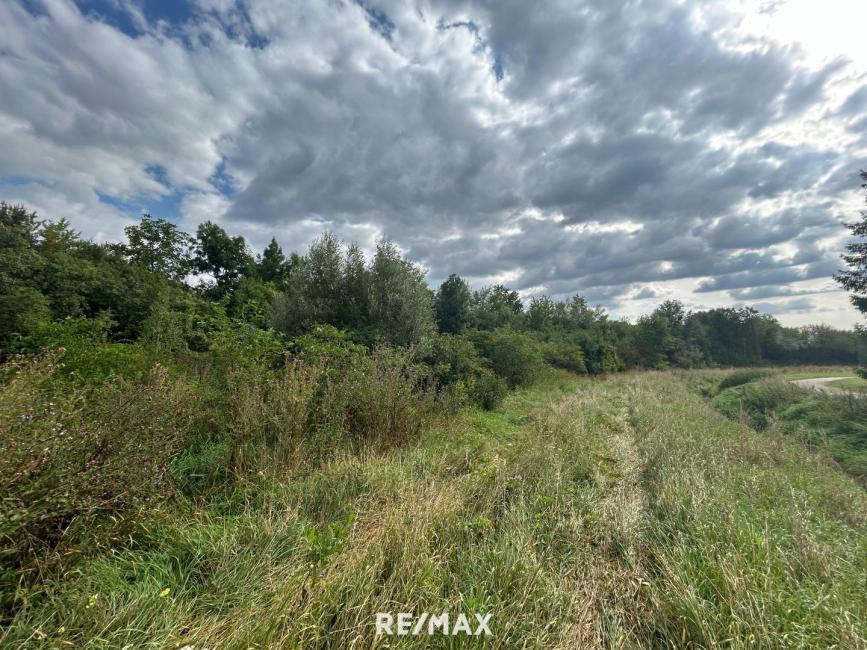 Terreno em Niederleis, Austria N.º 229520