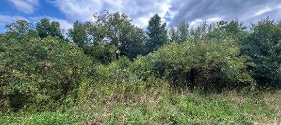 Terreno em Niederleis, Austria N.º 229520 2