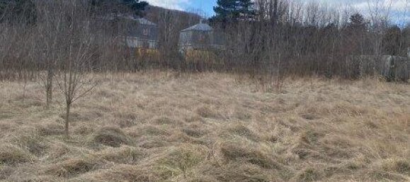 5500m² Land in Modling, Austria No. 60636 4