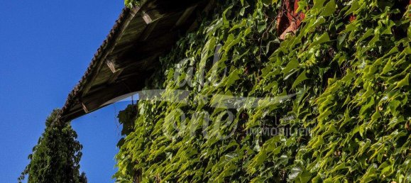 10 rooms House in Klagenfurt am Worthersee, Austria No. 215844 12