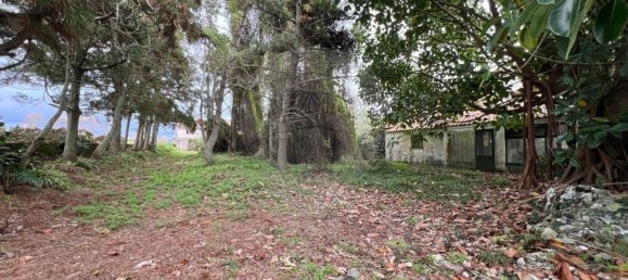 6 bedrooms House in Ponta Delgada, Portugal No. 184555 8