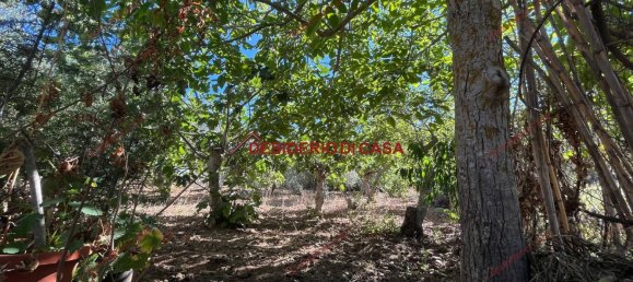 4 rooms Villa in Baucina, Italy No. 298229 11