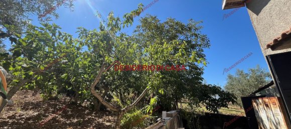 4 rooms Villa in Baucina, Italy No. 298229 12