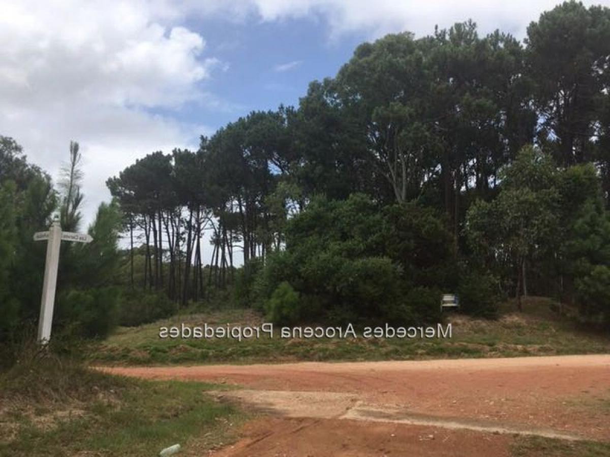Terrain à Maldonado, Uruguay No. 14453