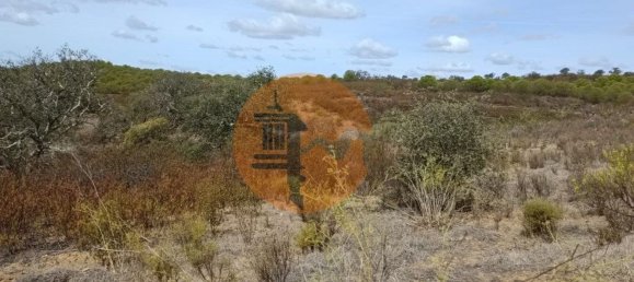 Terreno em Azinhal, Portugal 3200 m² N.º 57385 13