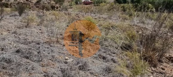 Terreno em Azinhal, Portugal 3200 m² N.º 57385 3