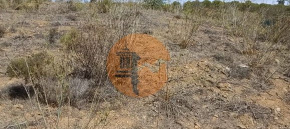 Terreno em Azinhal, Portugal 3200 m² N.º 57385 12