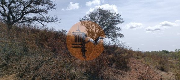 Terreno em Azinhal, Portugal 3200 m² N.º 57385 8