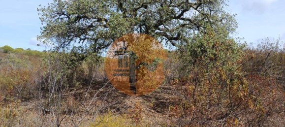 Terreno em Azinhal, Portugal 3200 m² N.º 57385 7