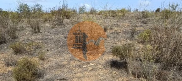 Terreno em Azinhal, Portugal 3200 m² N.º 57385 6