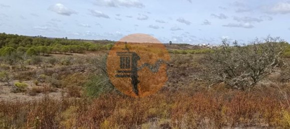 Terreno em Azinhal, Portugal 3200 m² N.º 57385 4