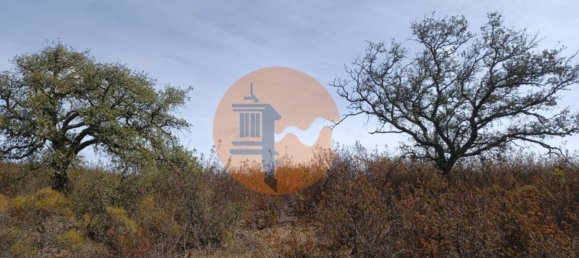 Terreno em Azinhal, Portugal 3200 m² N.º 57385 16