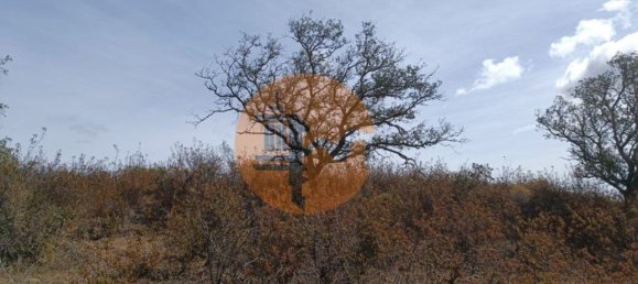 Terreno em Azinhal, Portugal 3200 m² N.º 57385 10