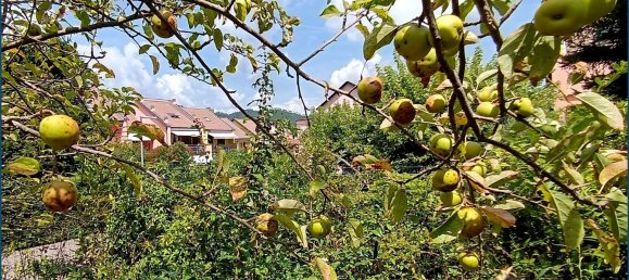 Квартира с 2 спальнями в Пиньоне, Италия № 318691 4