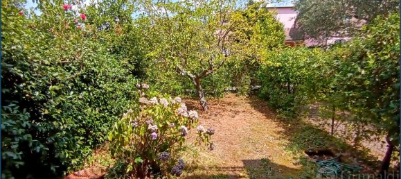 Квартира с 2 спальнями в Пиньоне, Италия № 318691 3