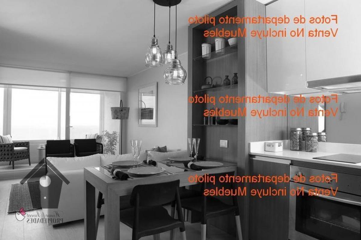 Studio in Valparaiso, Chile No. 4545