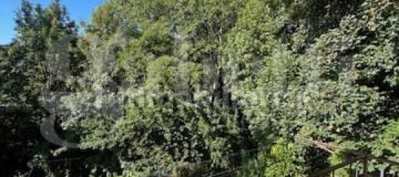 2 bedrooms House in Biella, Italy No. 292447 19