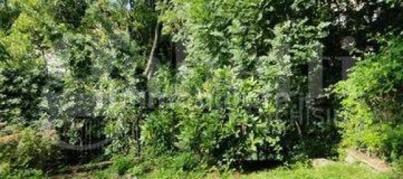 2 bedrooms House in Biella, Italy No. 292447 6