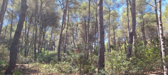 4 غرف نوم منزل في Alicante, Spain رقم 78423 50