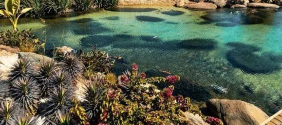 4 غرف نوم منزل في Alicante, Spain رقم 78423 39