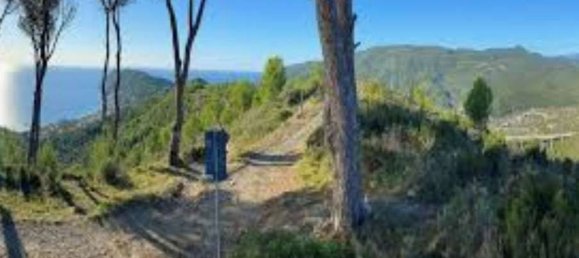 5-salle Maison à Andora, Italy No. 153317 2