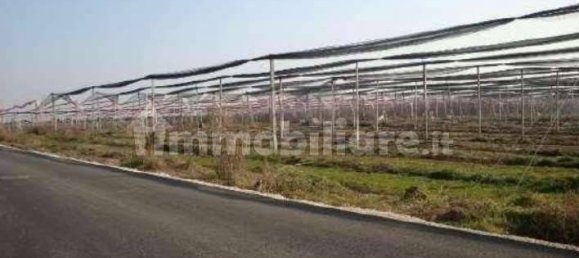 1-Zimmer Lagerhaus in Verona, Italy, Nr. 267101 2