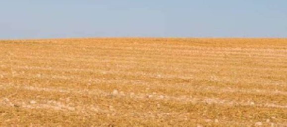 1-Zimmer Lagerhaus in Verona, Italy, Nr. 267101 3