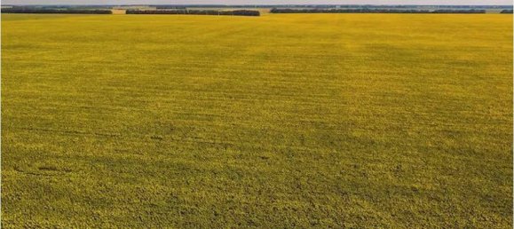 1-Zimmer Lagerhaus in Verona, Italy, Nr. 267101 4