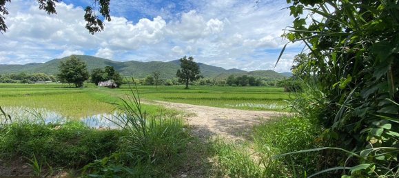 20 bedrooms Commercial property in Chiang Mai, Thailand No. 10676 13