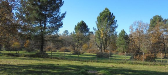 2 bedrooms House in Saint-Martin-de-Riberac, France No. 103926 6