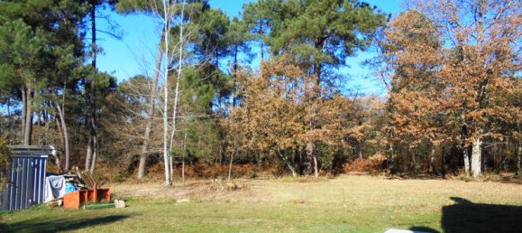 2 bedrooms House in Saint-Martin-de-Riberac, France No. 103926 2