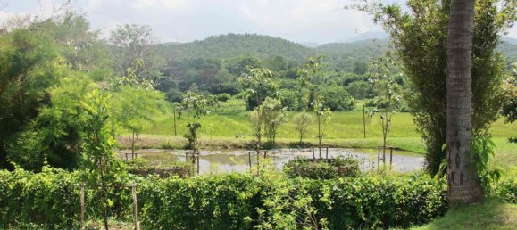 4 bedrooms House in Chiang Mai, Thailand No. 26999 8