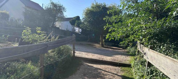 29 bedrooms Farm in Hesse, Germany No. 165015 14