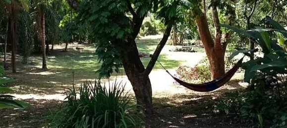 2 bedrooms House in Santa Cruz, Costa Rica No. 285 5