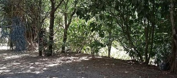 2 bedrooms House in Santa Cruz, Costa Rica No. 285 6