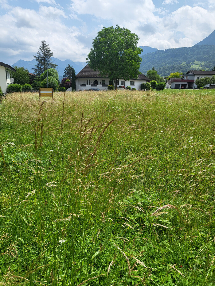  Land in Frastanz, Austria No. 163402