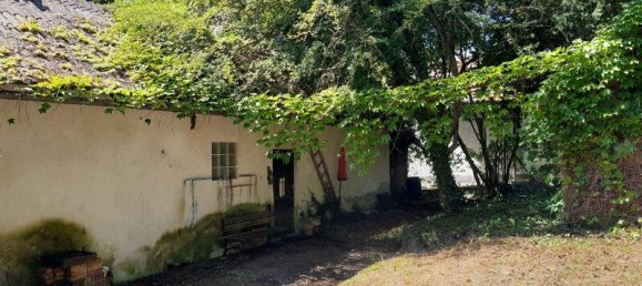 Земельный участок с 3 комнатами в Тулльнербах, Австрия № 96892 4