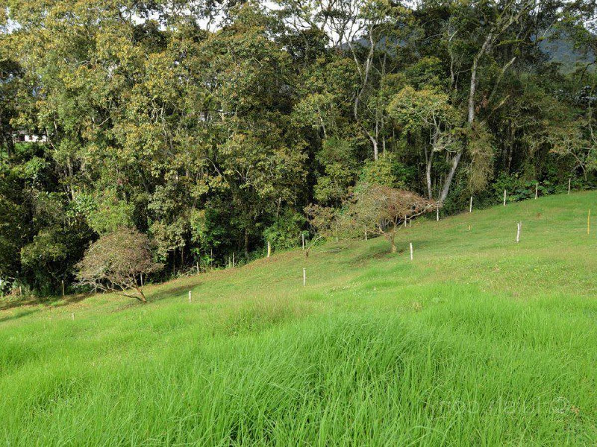  Land in Antioquia, Colombia No. 694