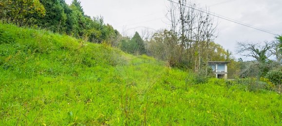 Дом с 4 спальнями в Барселуш, Португалия № 17945 10