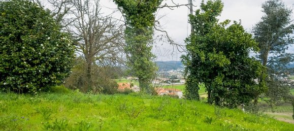 Дом с 4 спальнями в Барселуш, Португалия № 17945 9